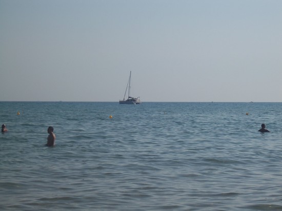 Mare