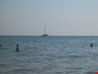 Mare