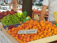 ljubljana apricots