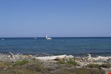 Riserva naturale di Vendicari