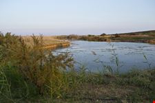 Riserva naturale di Vendicari