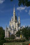 Magic Kingdom