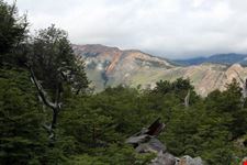Parco Nazionale Los Glaciares