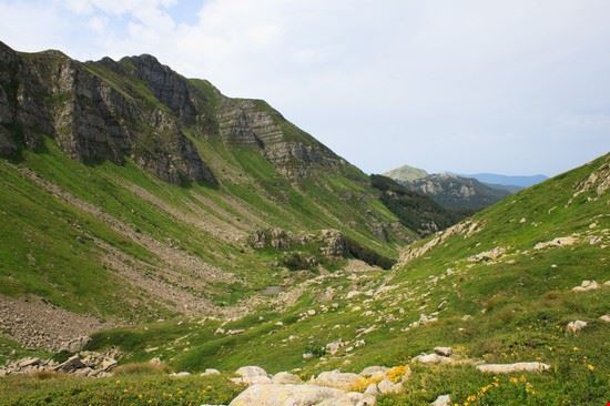  Pievepelego  