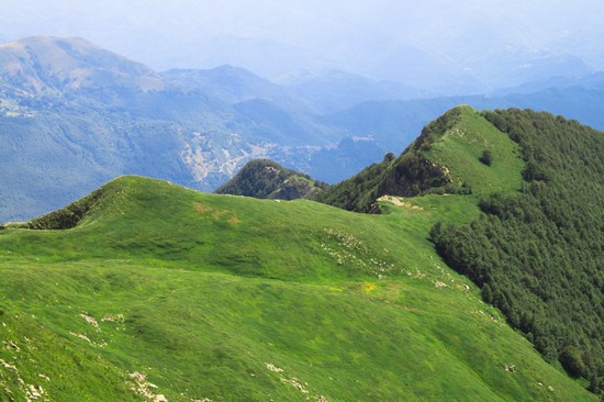 Verde di montagna