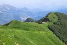 Verde di montagna