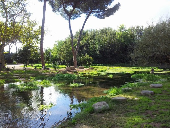 Parco degli acquedotti