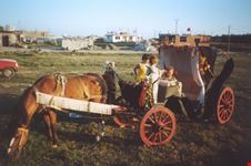 Carro matrimoniale