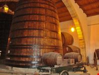 Cantine Florio