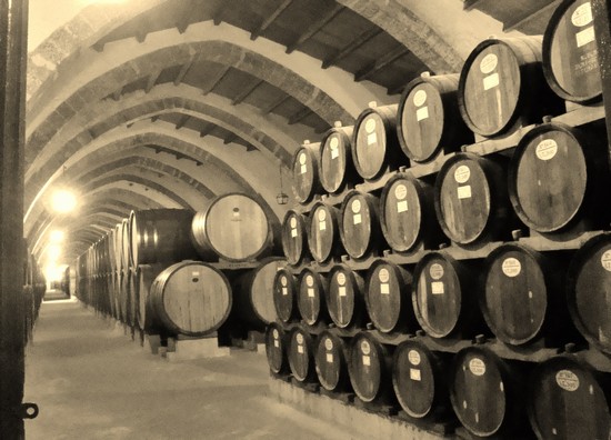 Cantine Florio 2