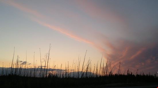  From Beaver River, near Fort McMurray, Alberta Canada  