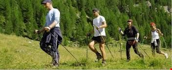 Nordic walking in Val Comelico