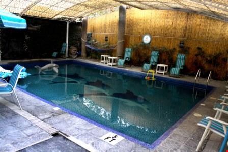 Pool Pool