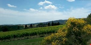 I nostri vigneti