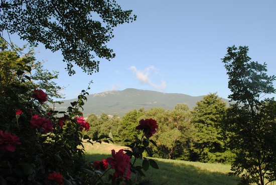 Il Monte Cetona