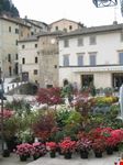 etona in Fiore