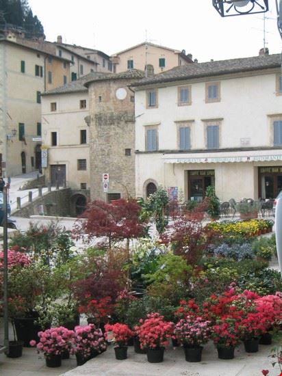  Cetona  