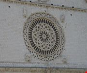 rosone assisi
