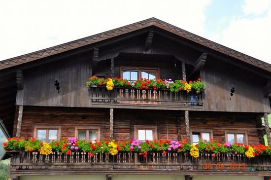  tradizione austriaca  