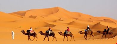 sahara desert 
