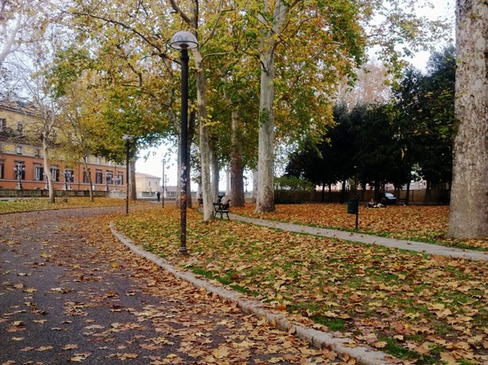Vista dal Parco...