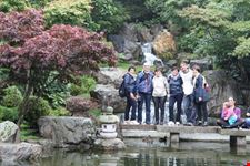 Kyoto Garden in the Holland Park