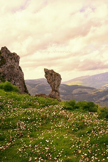 Capriccio della natura