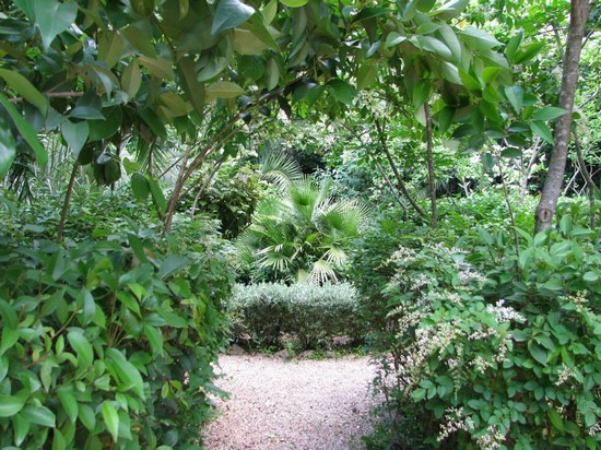 Foto del Parco dei Ligustri