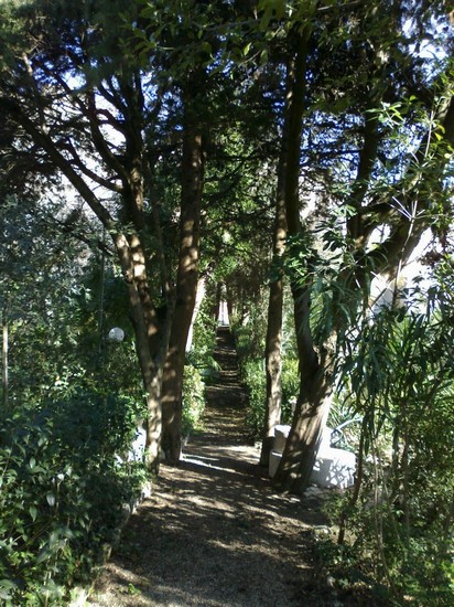 Il viale storico del giardino