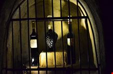 Museo del Vino