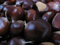Sagra delle Castagne
