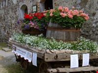FESTA DEI FIORI