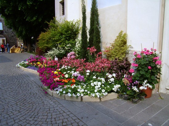 FESTA DEI FIORI