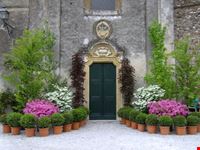 FESTA DEI FIORI