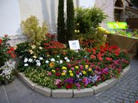 FESTA DEI FIORI