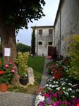 FESTA DEI FIORI
