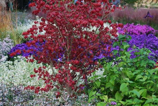 Colori d'autunno