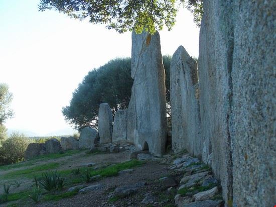  Arzachena  