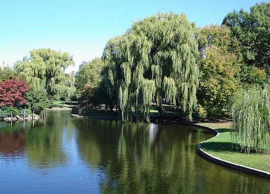 Boston Common Boston ©Kevin Burkett - CC BY-SA 2.0 ©Kevin Burkett