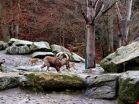Zoo