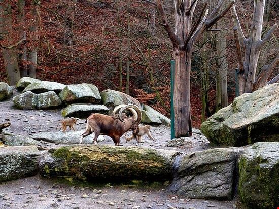 Zoo Munich ©Joachim S. Müller - CC BY-NC-SA 2.0 ©Joachim S. Müller