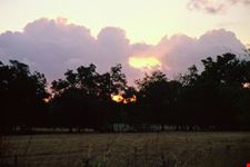 tramonto perth