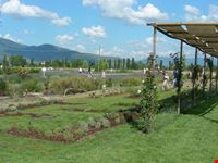 giardino degli aromi il lavandeto di assisi castelnuovo via dei laghetti 15 assisi