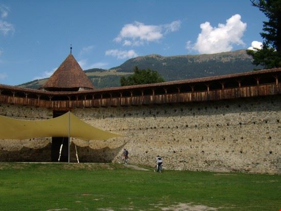 Glorenza  