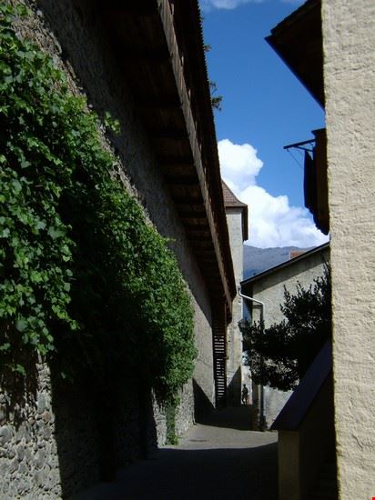  Glorenza  