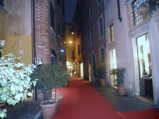  Verona  