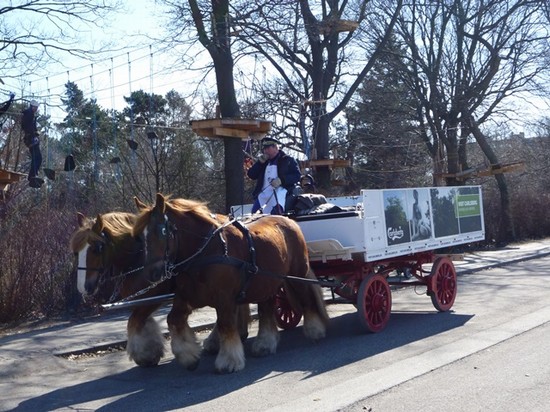 In giro per la città