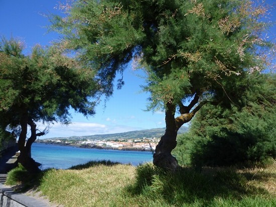 Isola di Faial