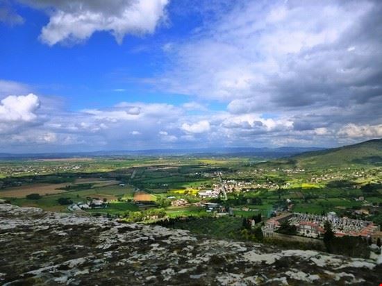  Cortona  