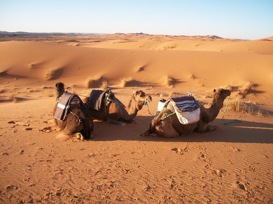 Deserto del Sahara